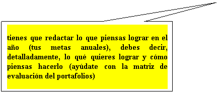 Llamada rectangular: tienes que redactar lo que piensas lograr en el ao (tus metas anuales), debes decir, detalladamente, lo qu quieres lograr y cmo piensas hacerlo (aydate con la matriz de evaluacin del portafolios)
