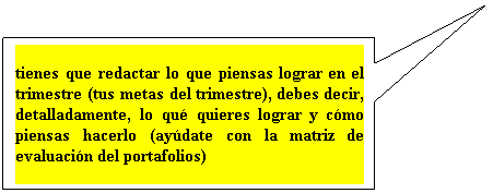 Llamada rectangular: tienes que redactar lo que piensas lograr en el trimestre (tus metas del trimestre), debes decir, detalladamente, lo qu quieres lograr y cmo piensas hacerlo (aydate con la matriz de evaluacin del portafolios)
